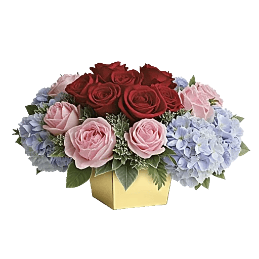Petal Radiance Bliss