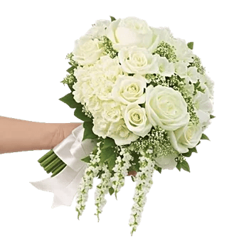 Delicate Petal Cascade