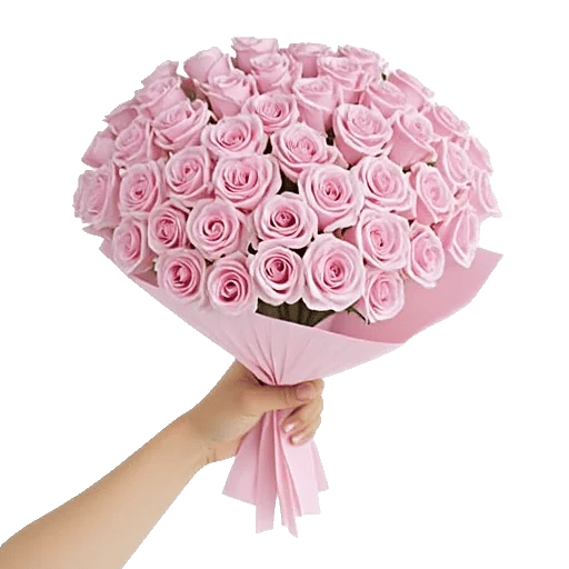 Pastel Pink Roses