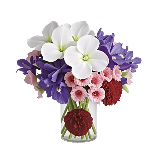Ivory Blossom Radiance