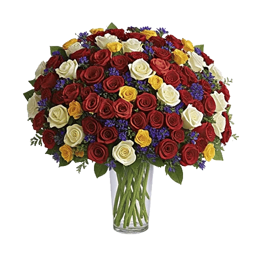 Radiant Rose Symphony