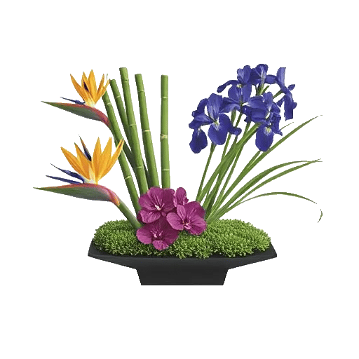 Minimalist White Orchids