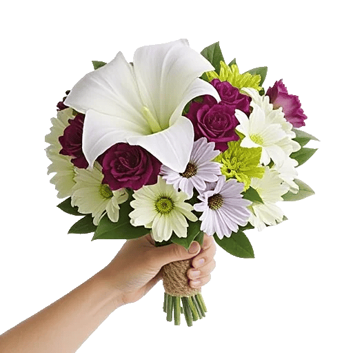 Elegant Calla Lilies