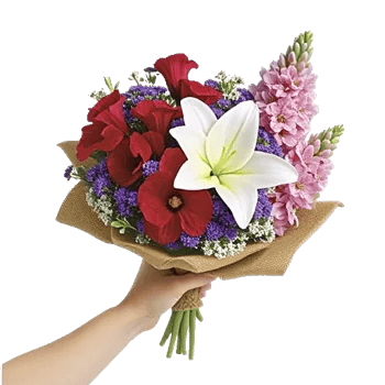 Blossom Harmony Display