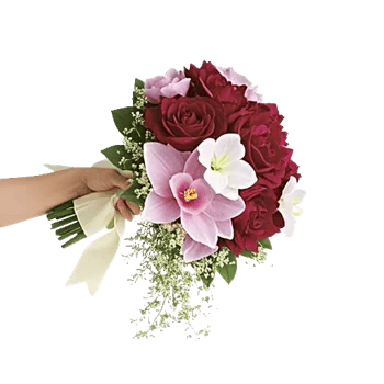 Delicate Petal Cascade