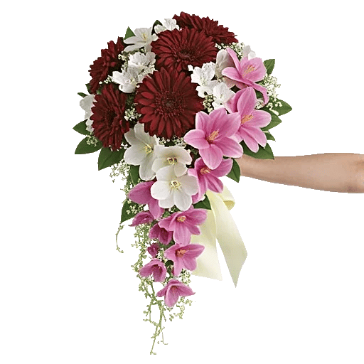 Delicate Petal Cascade