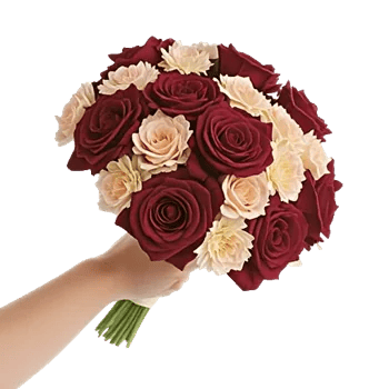 Blushing Rose Symphony