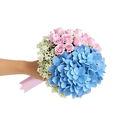 Serene Petal Harmony