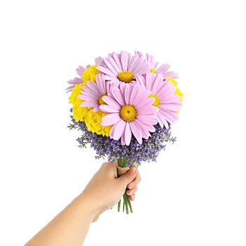 Coral Blossom Harmony