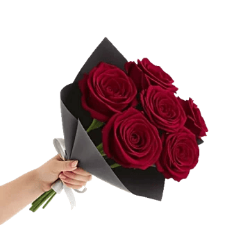 Crimson Rose Elegance