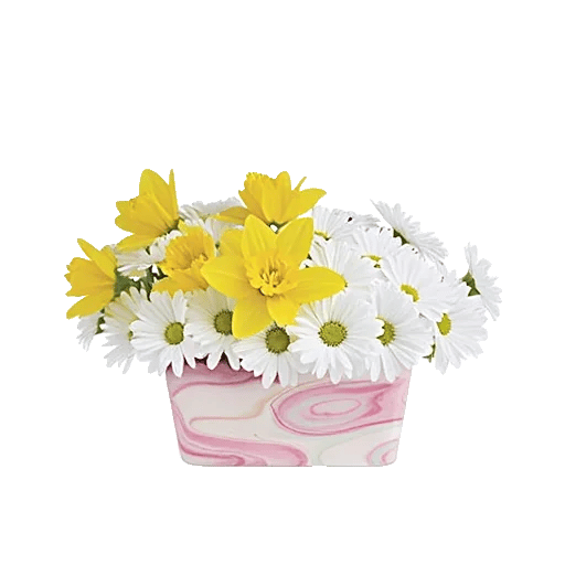 Blossom Harmony Display