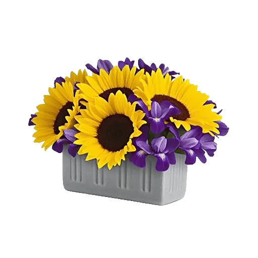 Amber Sunflower Glow