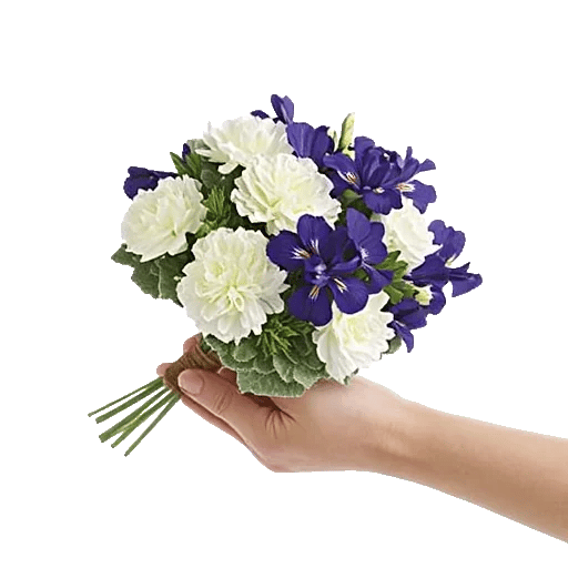 Delicate Petal Cascade