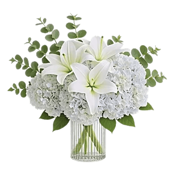 Ivory Blossom Radiance