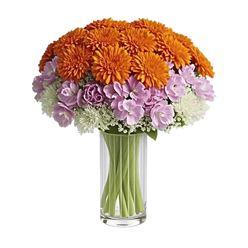 Vibrant Orange Delight