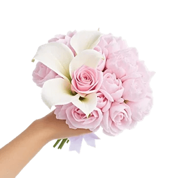 Blushing Rose Symphony