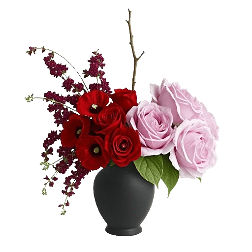 Crimson Blossom Harmony