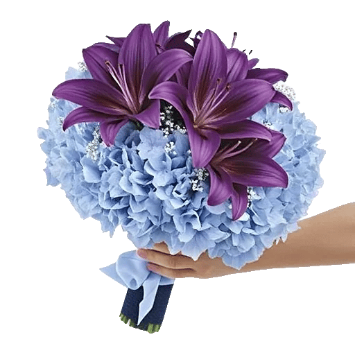 Sapphire Bloom Whisper