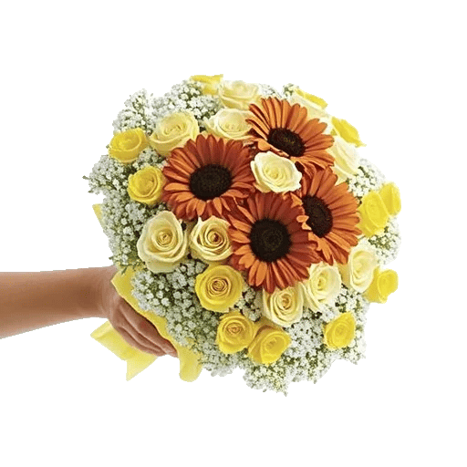 Blushing Rose Symphony