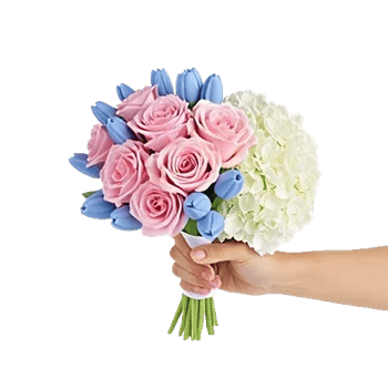 Pastel Pink Roses