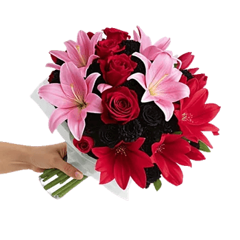 Crimson Rose Elegance