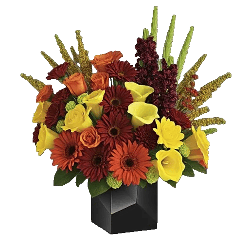 Radiant Petal Display