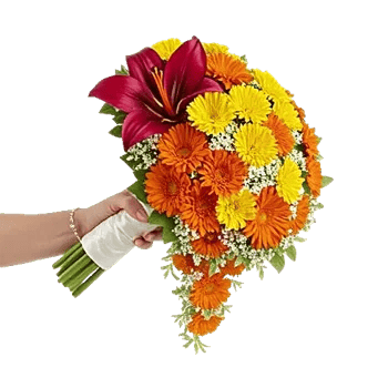 Delicate Petal Cascade