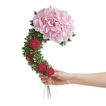 Serene Petal Harmony