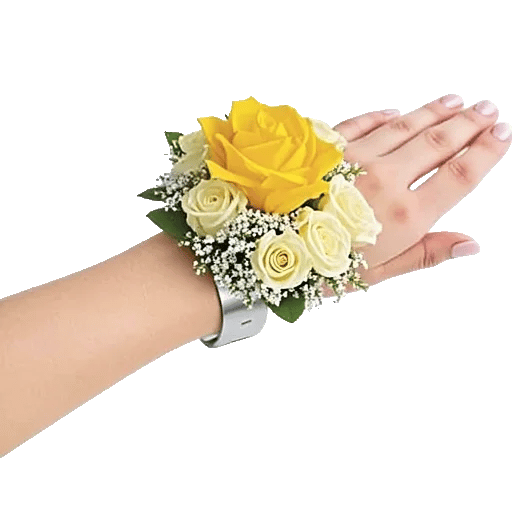 Blushing Rose Symphony