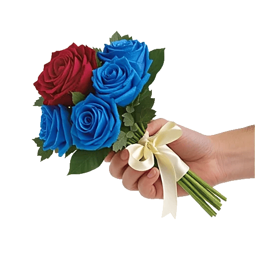 Crimson Rose Elegance