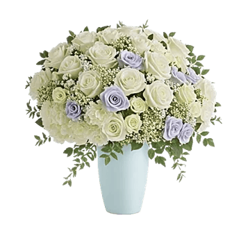 Serene Petal Harmony