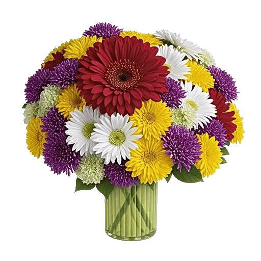 Petal Radiance Bliss