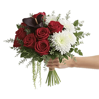 Crimson Rose Elegance