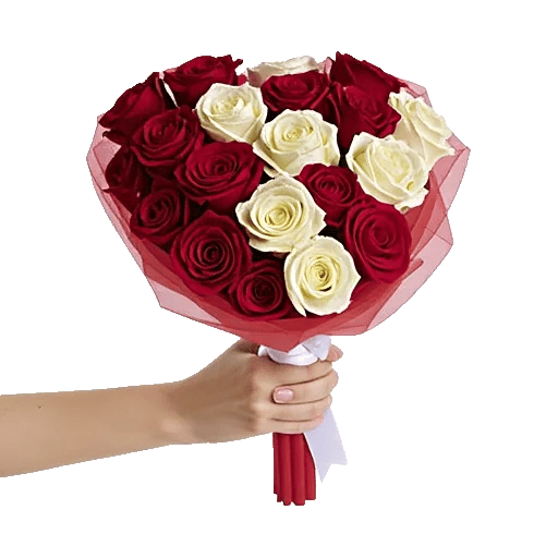 Crimson Rose Elegance