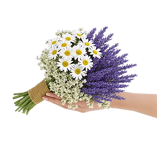 Delicate Petal Cascade