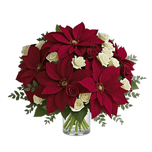 Petal Radiance Bliss