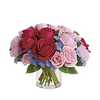 Petal Radiance Bliss