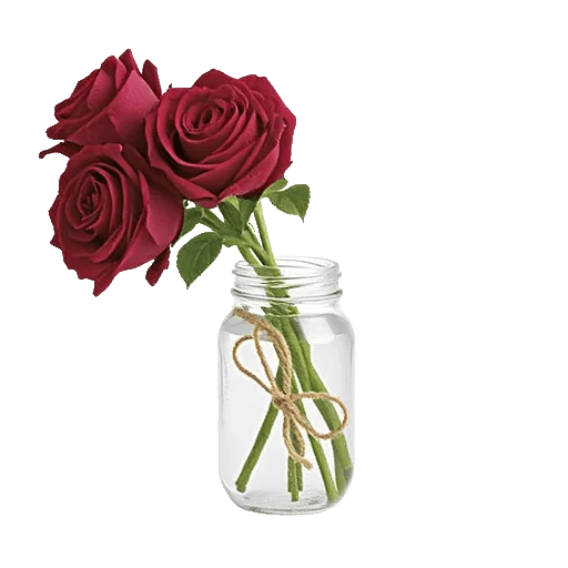 Crimson Rose Elegance