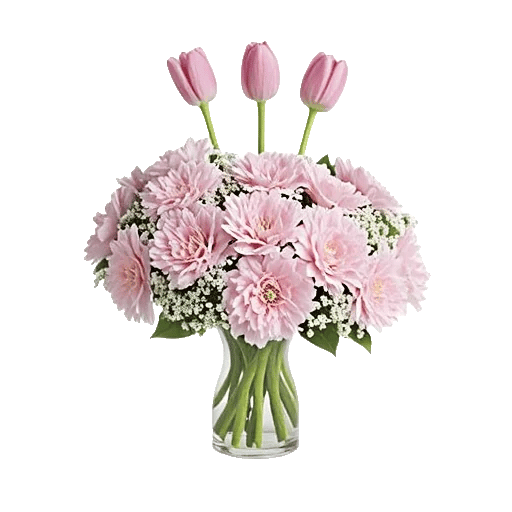 Pink Pastel Roses