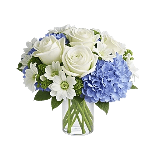 Serene Petal Harmony