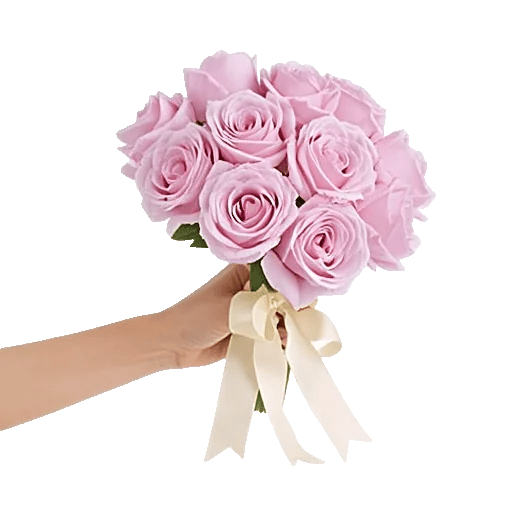 Peony Petal Harmony