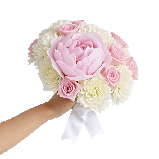 Peony Petal Harmony