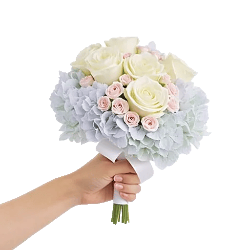 Serene Petal Harmony