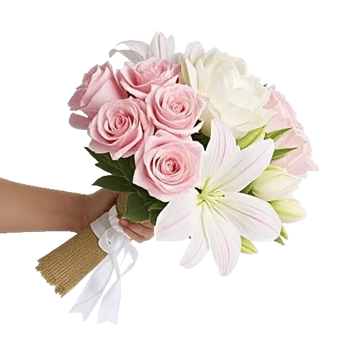 Blossom Petal Serenity