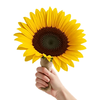 Golden Sunflower Bouquet