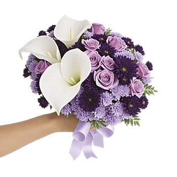 Elegant Calla Lilies