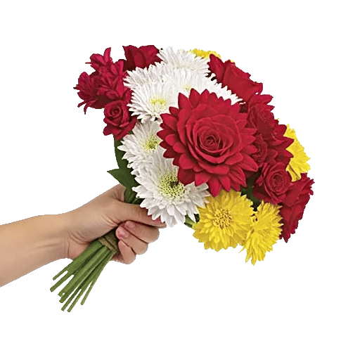 Crimson Blossom Harmony