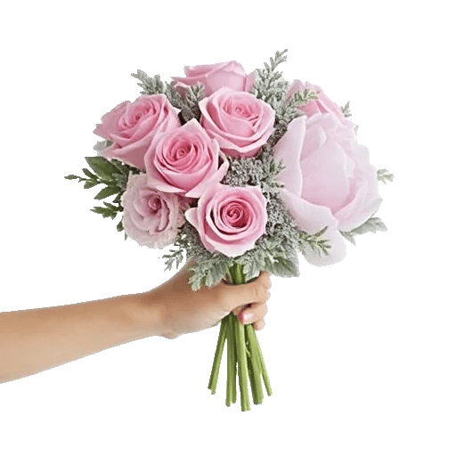 Pastel Pink Roses