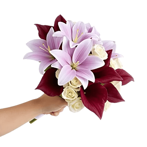 Elegant Calla Lilies