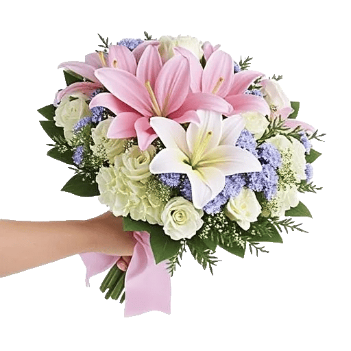 Blossom Petal Serenity